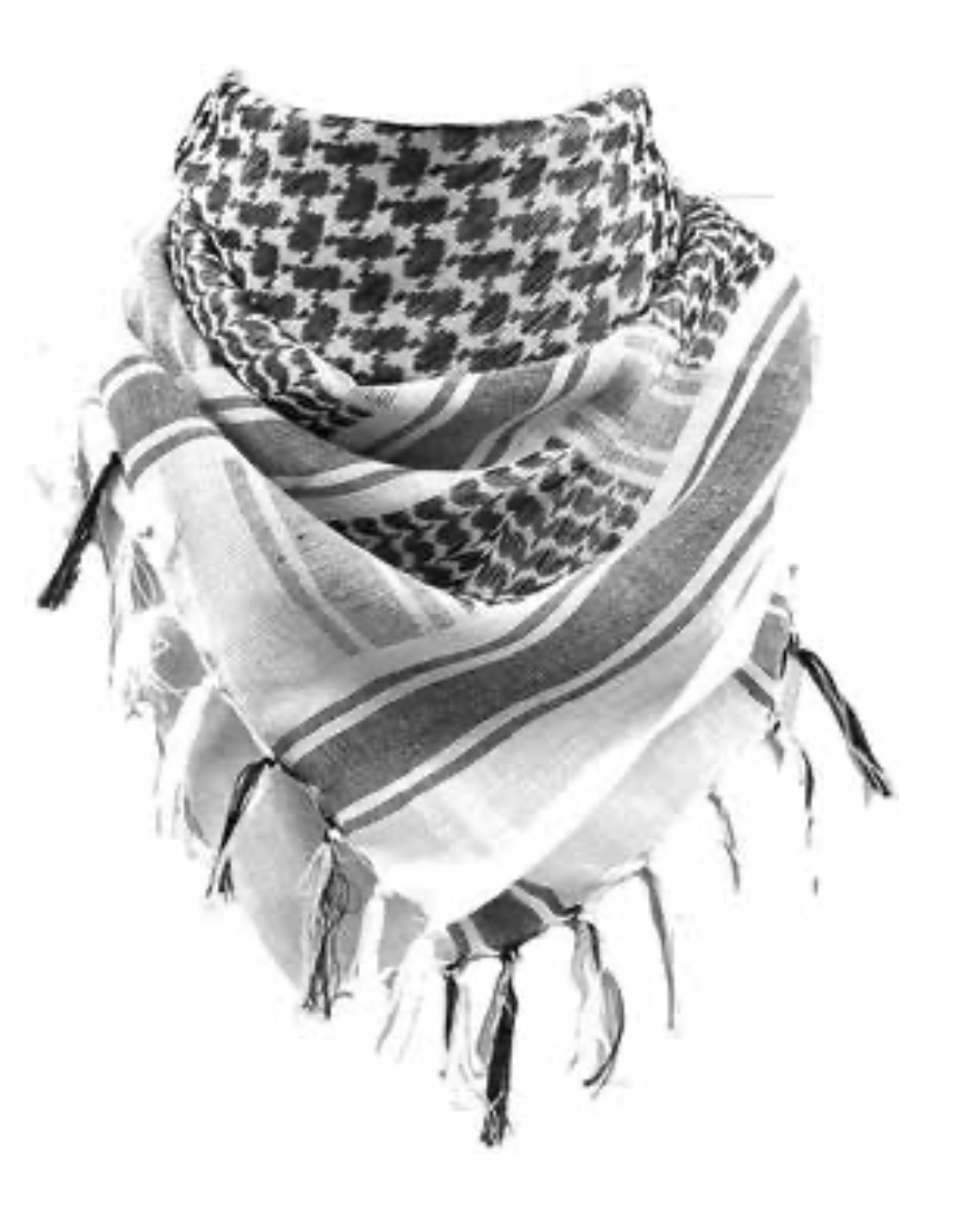 Misión Palestina. Fco. José Carrillo Montesinos